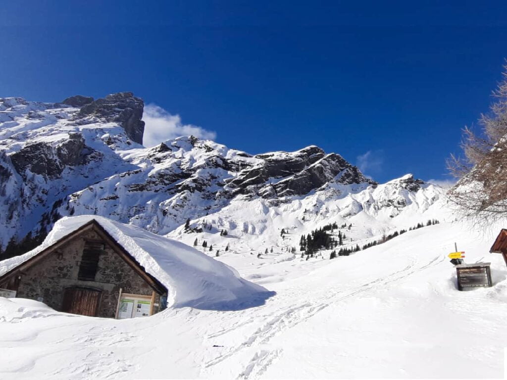 Giornata mondiale della neve: 16 Gennaio 2022