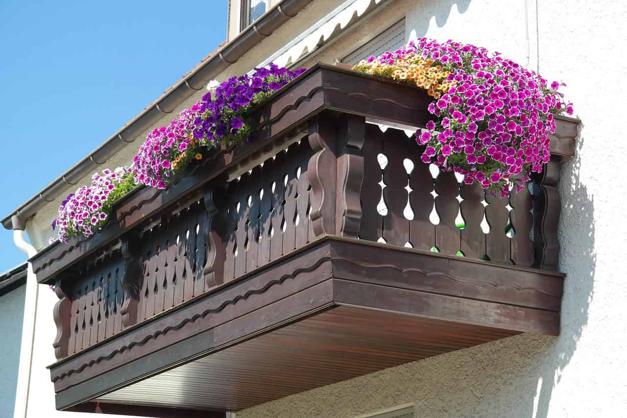 Cosa trapiantare a maggio per un balcone fiorito che faccia invidia a tutti